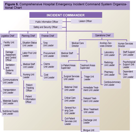 Hospital Incident Command System Chart