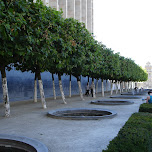 jardin du mont des arts in Brussels, Belgium 