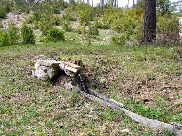 Senderismo - Coll de la Creu - Punta Boixet - Alt de la Coscollosa - Barranc de la Coscollosa