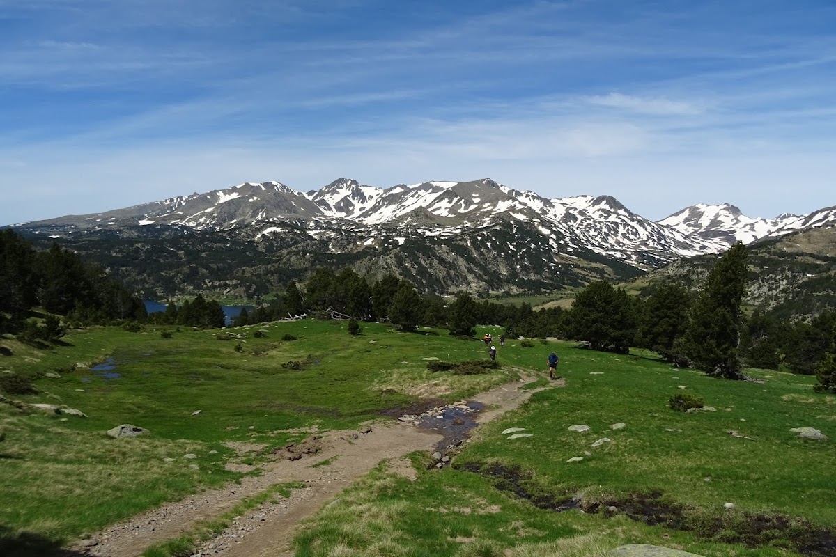 DSC02421.JPG