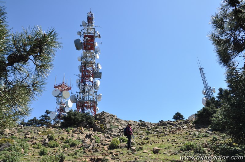 Los Reales de Sierra Bermeja