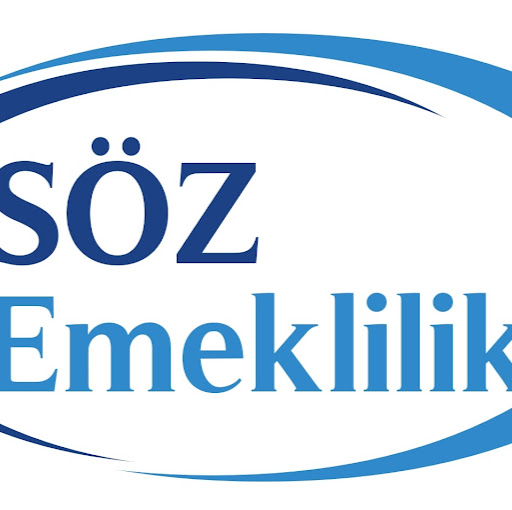 Yurt Dışı Borçlanma Hizmetleri - Özdemir Emeklilik logo