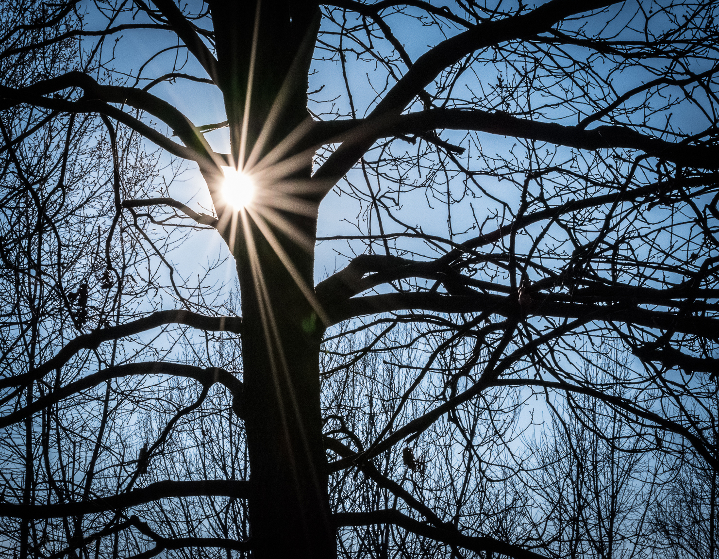 Spiragli di luce di toni_fidanza