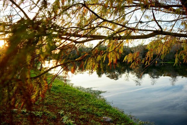 County of Orange: Blanchard Park