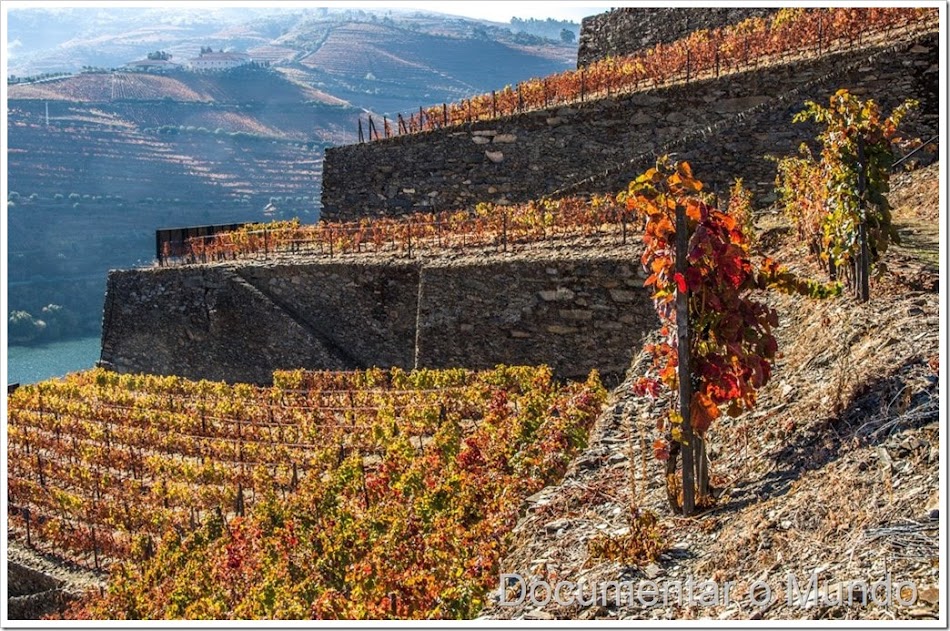 Quinta de La Rosa, quintas Douro, enoturismo Douro, quintas Pinhão, quintas emblemáticas do Douro