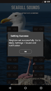 Seagull Sounds Screenshots 2