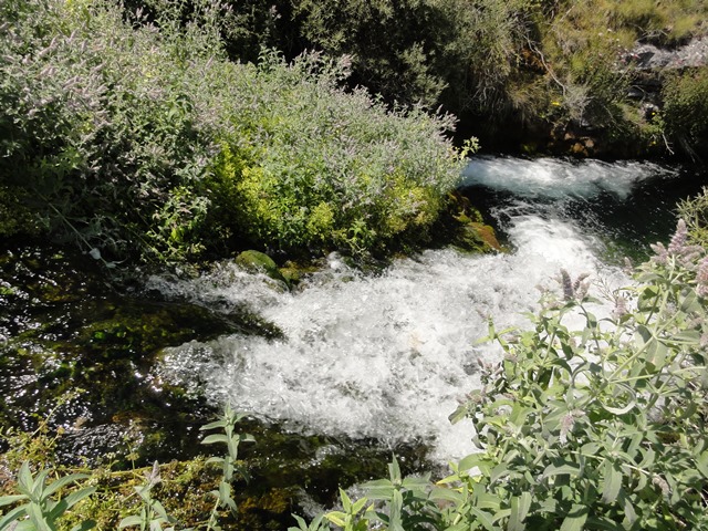 RUTA 5 DÍAS MERINDADES. DÍA 5. ORBANEJA DEL CASTILLO, PESQUERA DE EBRO... - De viaje por España (36)