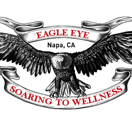 Eagle Eye - Napa logo