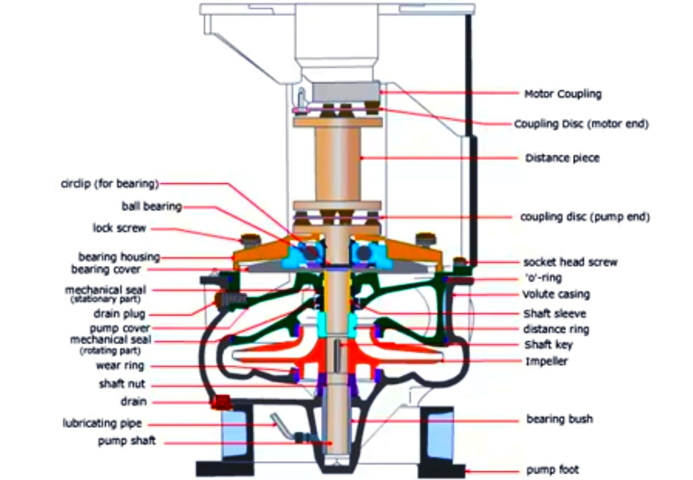 Working principle of Centrifugal pump important ques 6 mark