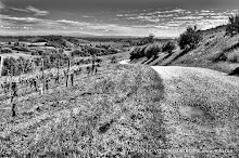 3 maggio 2014 Grana, Alfiano Natta, Grazzano Badoglio, Montachiaro,Montemagno d'Asti - fotografia di Vittorio Ubertone