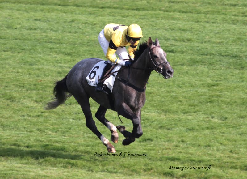 Photos Auteuil 11-10-2015 IMG_5165