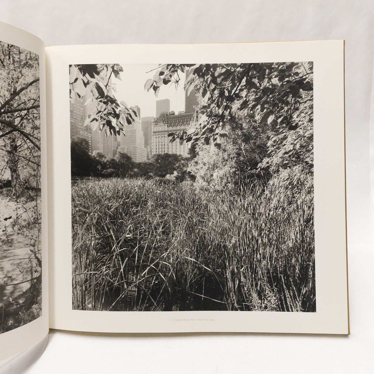 Lee Friedlander: Photographs Frederick Law Olmsted Landscapes Book