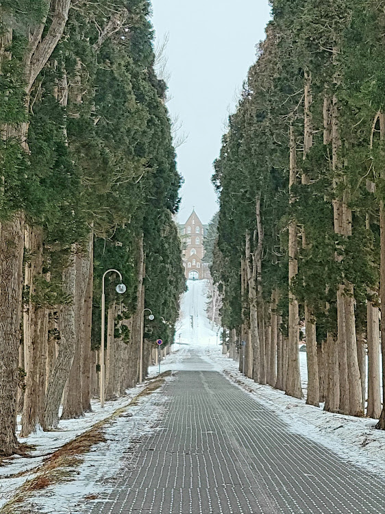 の投稿画像9枚目