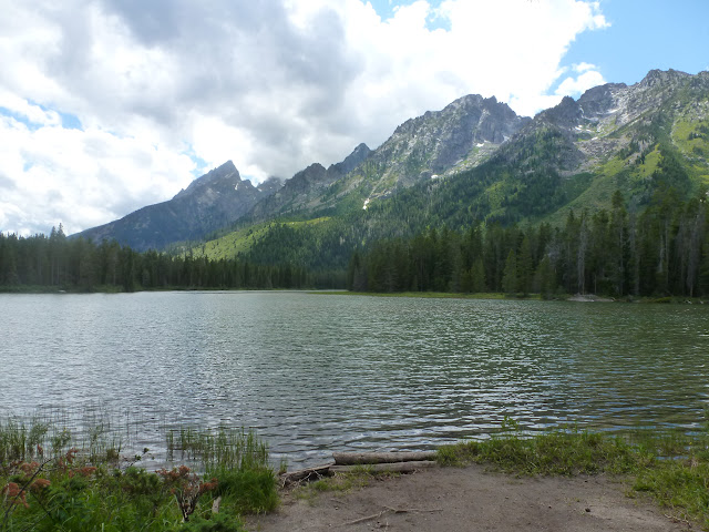 West Thumb, (PN Yellowstone) y Grand Teton. 15 Julio - LAS ROCOSAS DE CANADA. YELLOWSTONE Y GRAND TETON. (60)