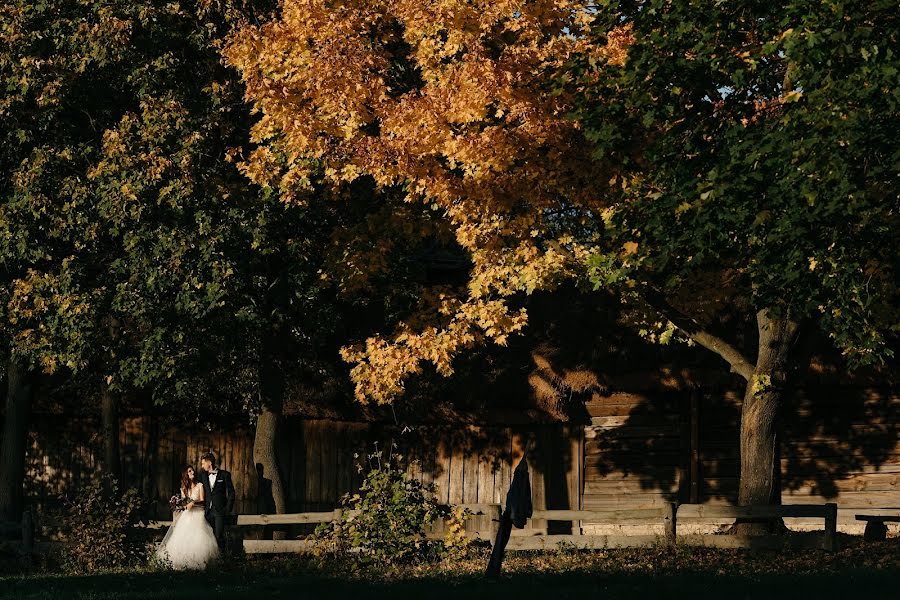 Fotógrafo de casamento Michal Jasiocha (pokadrowani). Foto de 13 de novembro 2018