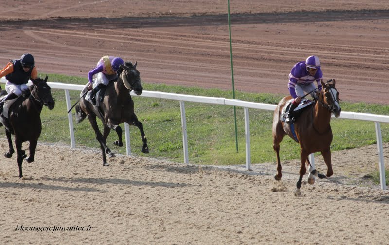 Photos Pornichet le 7-08-2015 IMG_3675