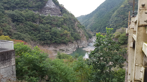 Bamboo Forest 嵐山竹林