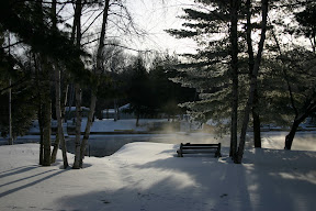 Mist rises in Auntie Joe's backyard (2)