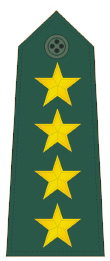 파일:external/upload.wikimedia.org/General_First_Class_rank_insignia_%28ROC%29_-_V.jpg