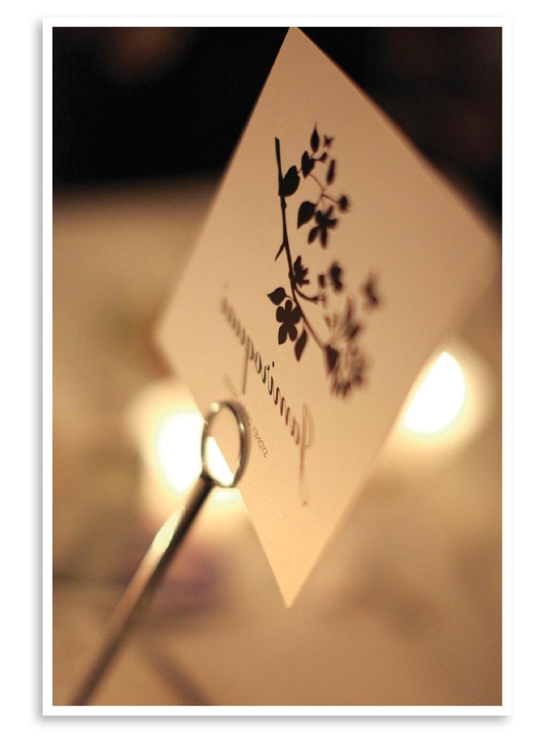 rsvp cards, place cards,