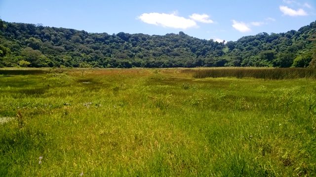 Occidente: Ruta de las flores, El imposible y Santa Ana - En solitario por Centro América (9)