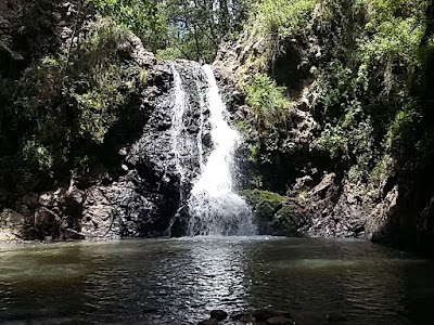 Photos of Bosque De Deti&ntilde;a