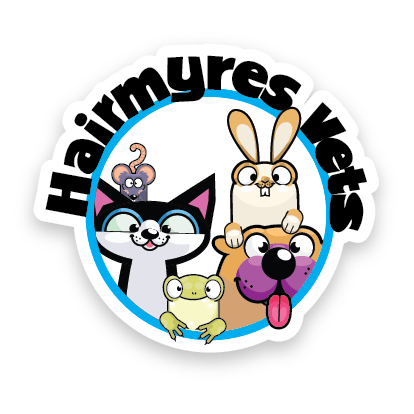 Pets'n'Vets in Hairmyres logo