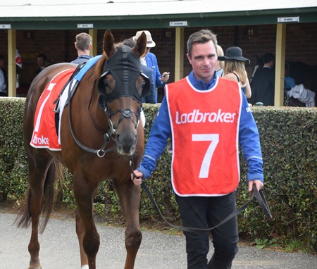 caulfield stakes_blair house 1 caulfield stakes_blair house 1