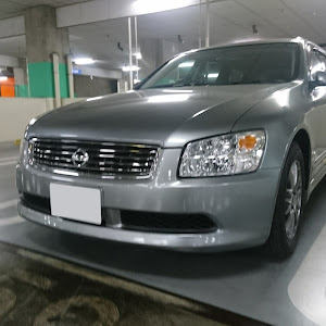 ステージア M35