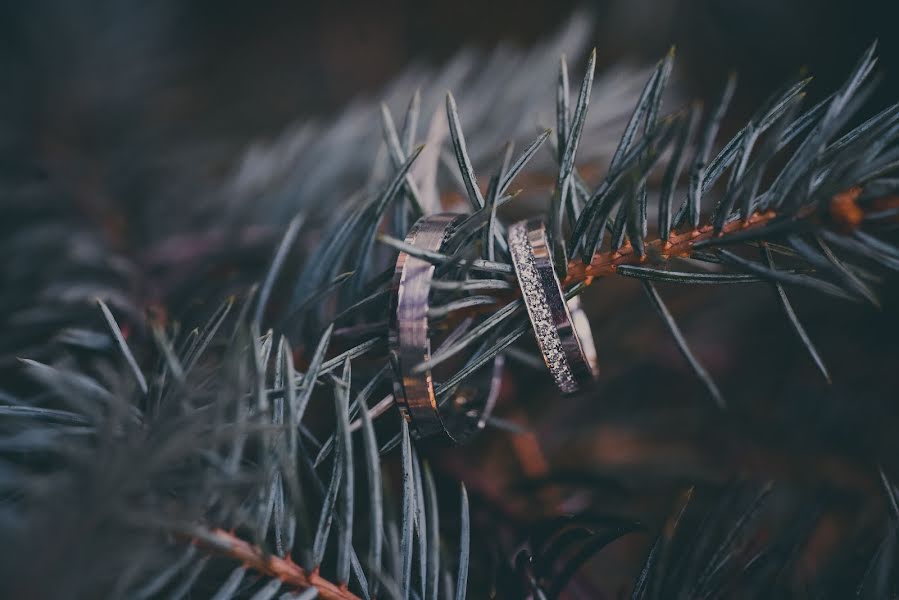 Svadobný fotograf Milan Mitrovic (milanmitrovic). Fotografia publikovaná 30. novembra 2020