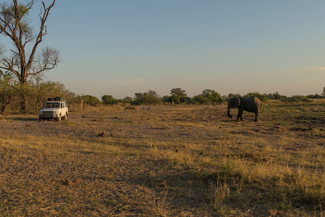 Botswana et Zimbabwe en octobre BotsZim_Oct2015_031