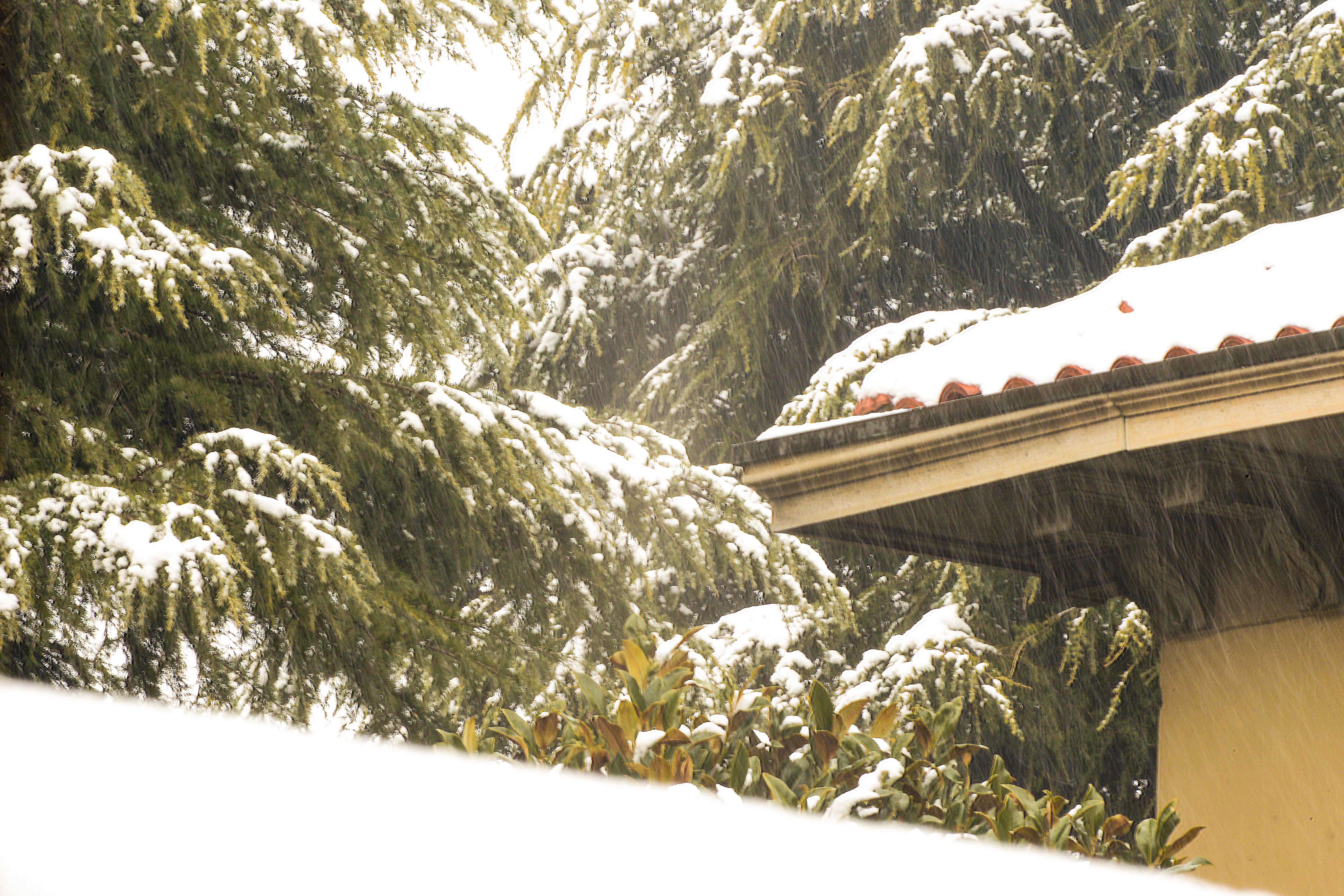 Neve a catinelle di acquario