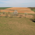 Porte de Jouy : côté campagne