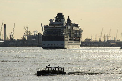 Celebrity Constellation