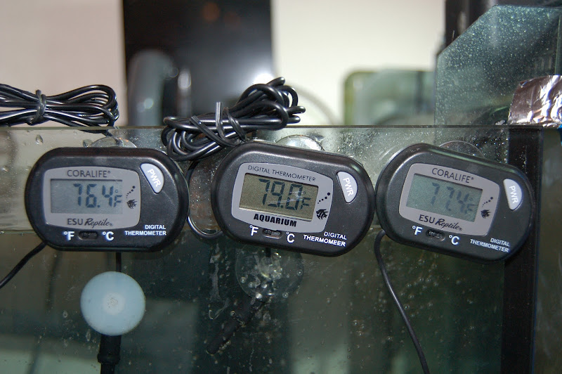 Why Shouldn't Thermometers be Used for Oven Calibration