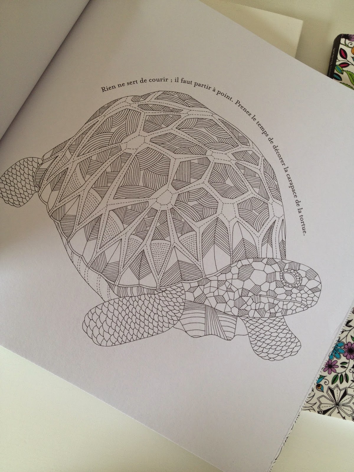 dessin de requin a colorier