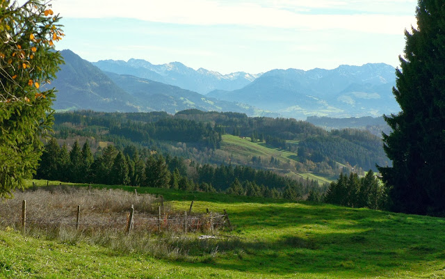 Immenstadt Alpsee Siedelalpe Gaishorn Rauhhorn Daumengruppe allgäu primapage