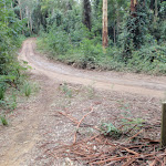 int of warrawolong road (59297)