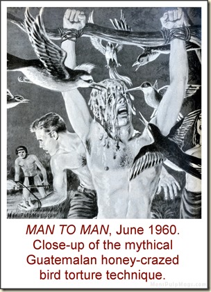 MAN TO MAN, June 1960, torture by birds & honey MAN TO MAN, June 1960, torture by birds & honey