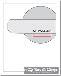 MFT_WSC_308