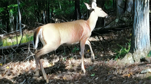 Park «Lower Perkiomen Valley Park», reviews and photos, 101 New Mill Rd, Norristown, PA 19403, USA