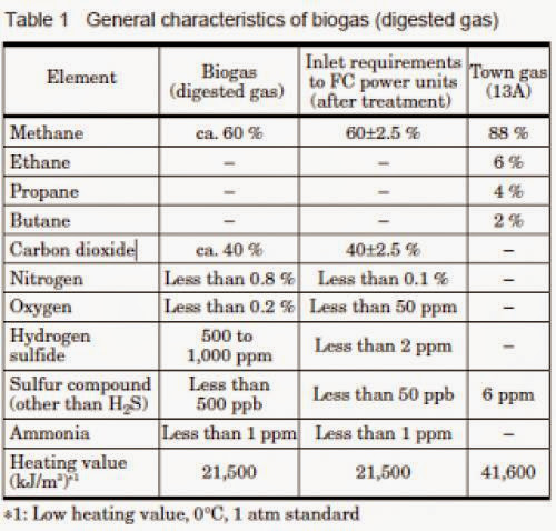 Fuelcell Power Using Biogas