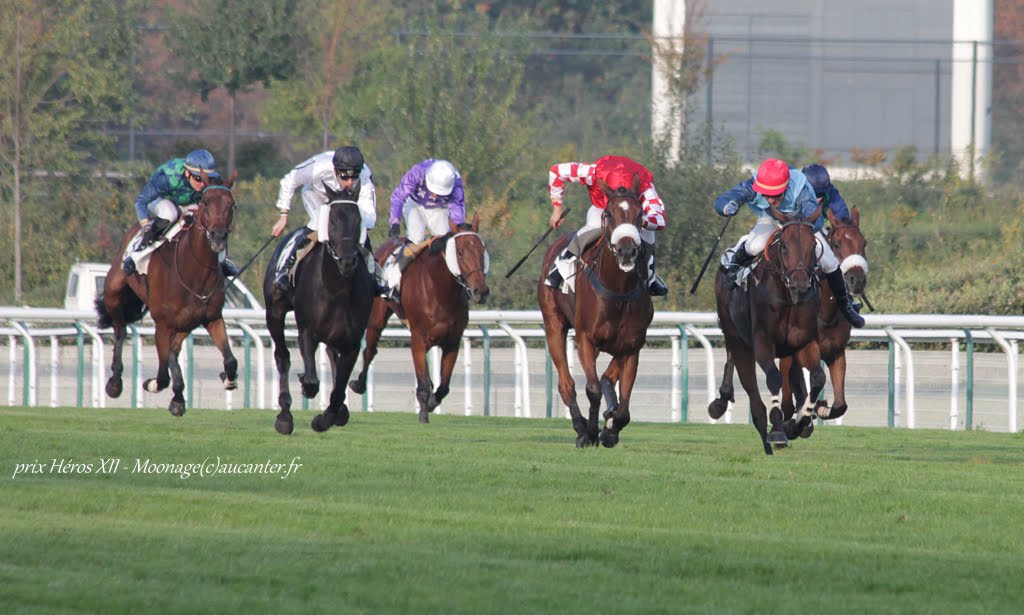 Photos Auteuil 11-10-2015 IMG_5544