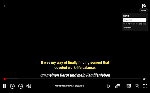 Streaming Bilingual Subtitles BETA screenshot 1