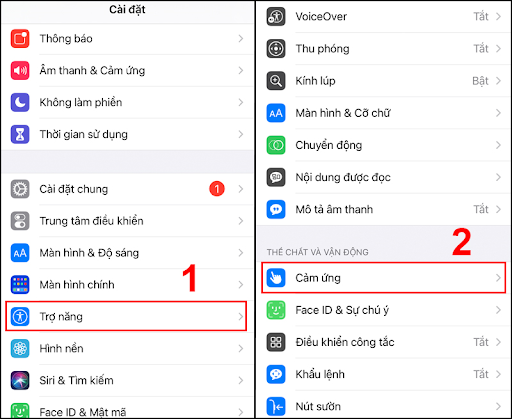 Vào phần Trợ năng trong Cài đặt và chọn mục Cảm ứng