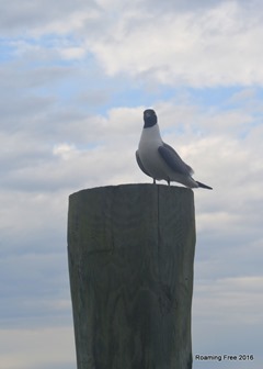 Standing watch