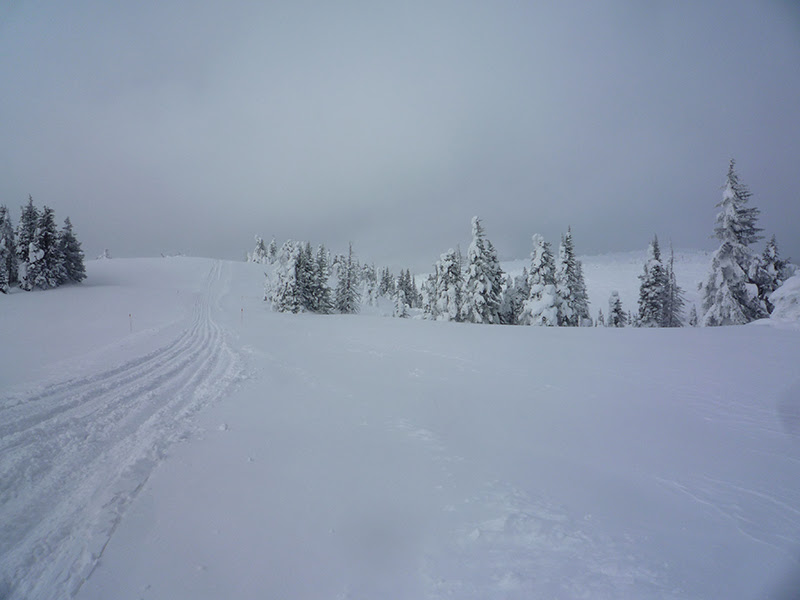 Utah - Yellowstone - Chicago en invierno y en solitario - Blogs de USA - Etapa 07: Día sin planes en West Yellowstone (3)