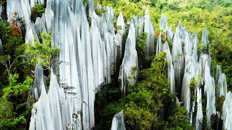 Mulu Caves, Sarawak