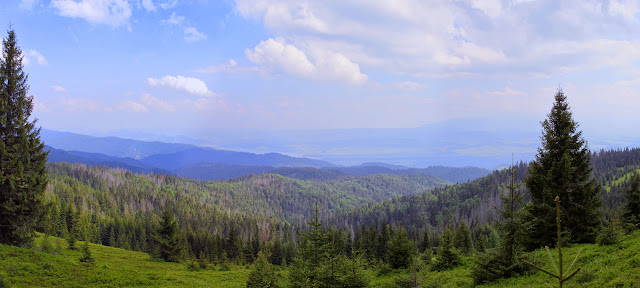https://lh3.googleusercontent.com/-Mh8gE9BjGbQ/U52GUW1AWmI/AAAAAAAAE4Q/KGrTFROMFIs/s640/Kiczora%25202.JPG
