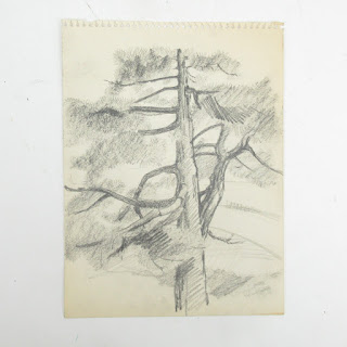 Barbara Rosen Tree Series Drawings